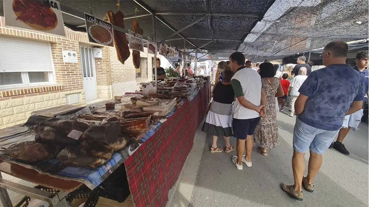 Fotos Día del Tomate de Cadreita 2025 (36)