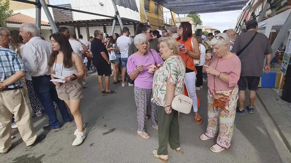 Fotos Día del Tomate de Cadreita 2025 (39)