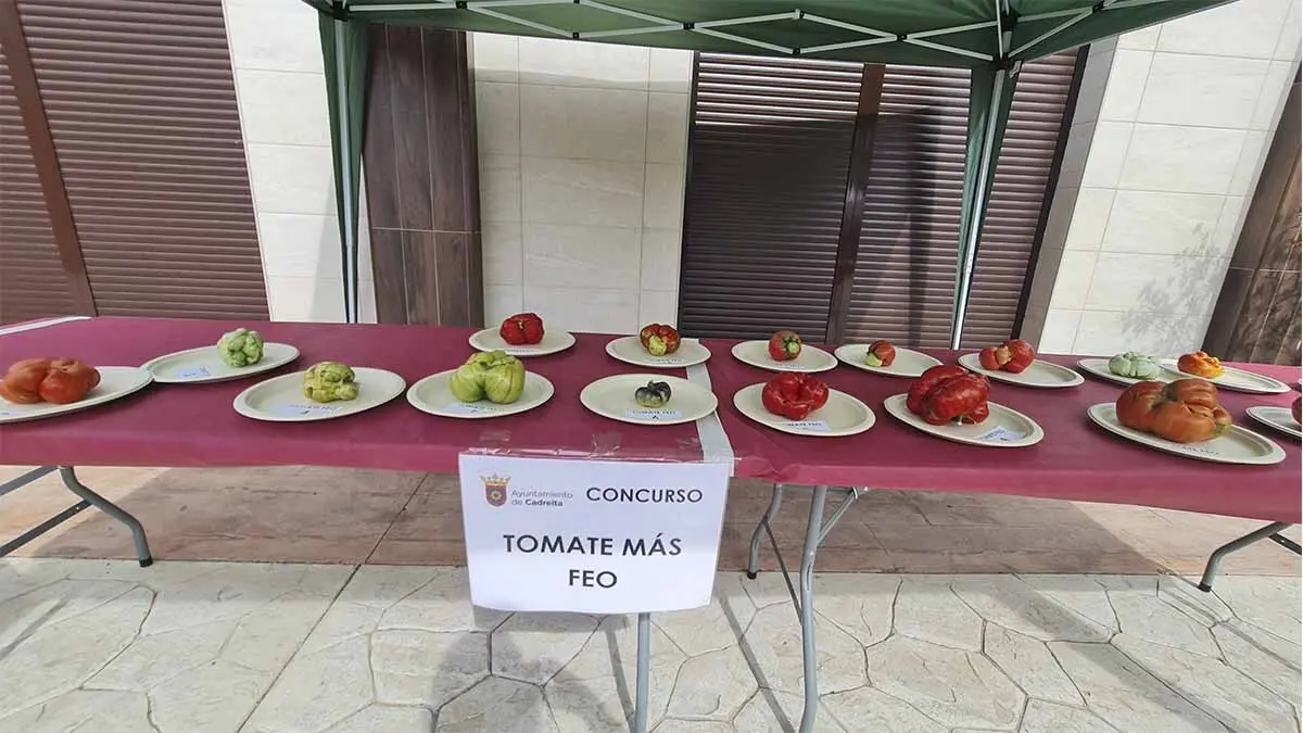 Fotos Día del Tomate de Cadreita 2025 (47)