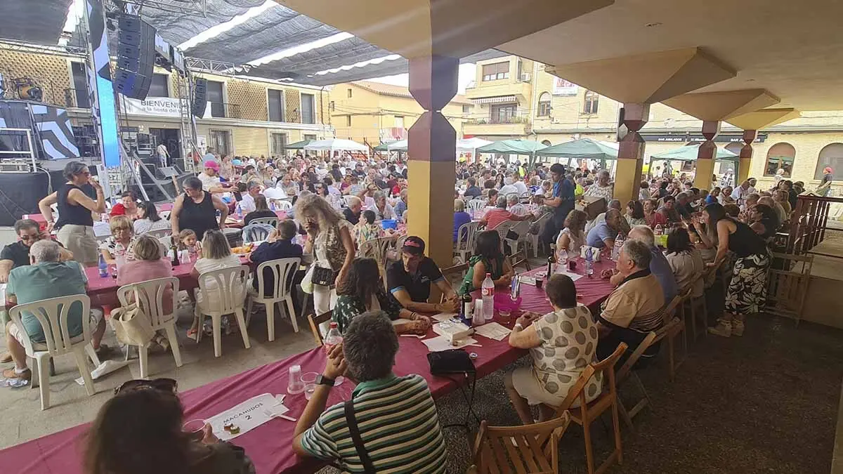 Fotos Día del Tomate de Cadreita 2025 (86)