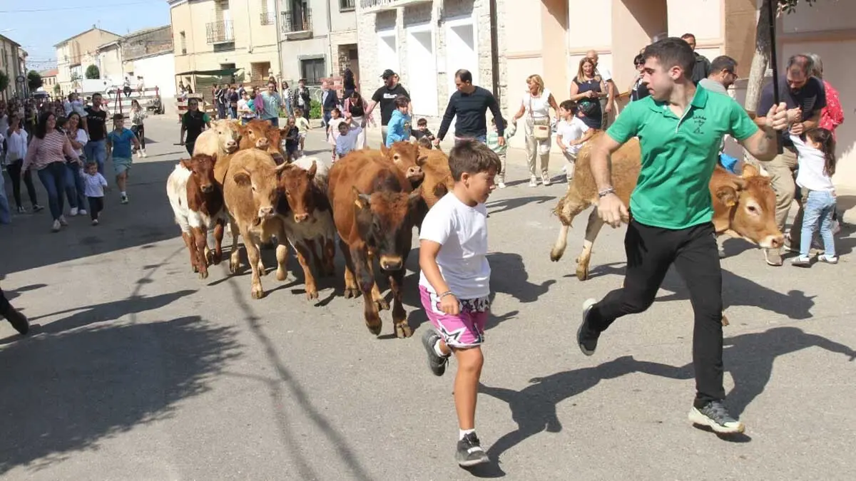 Fotos Fiestas de Otoño en Cabanillas. 27-09-25 (2)