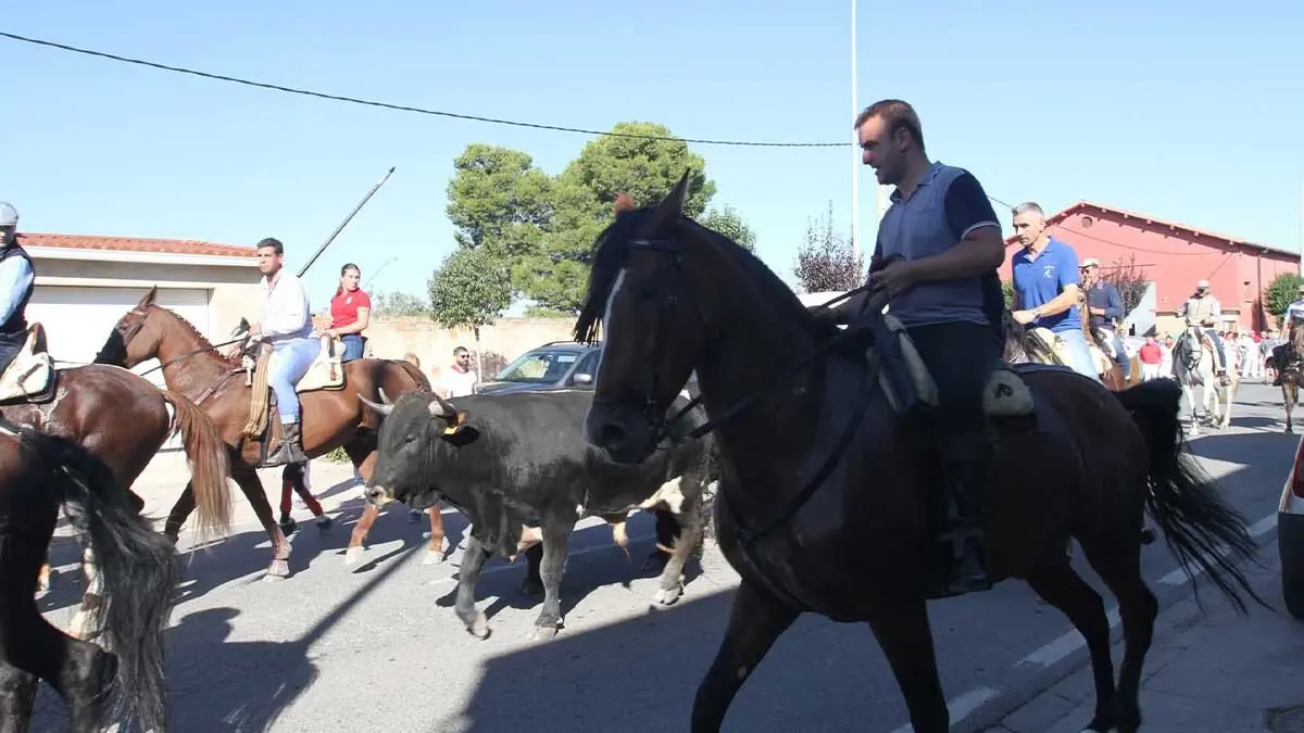 Fotos Fiestas de Cortes 2-10-25 (13)