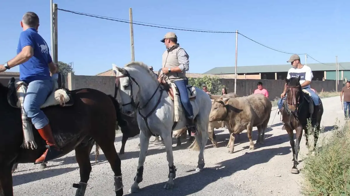 Fotos Fiestas de Cortes 2-10-25 (16)