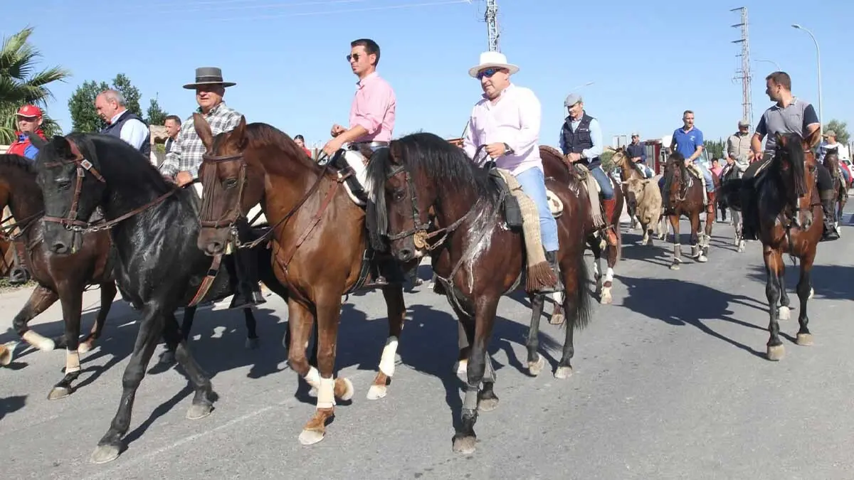 Fotos Fiestas de Cortes 2-10-25 (17)
