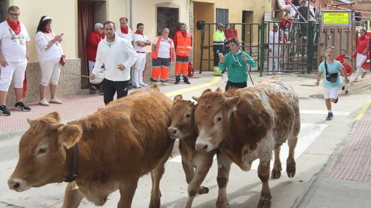 Fotos Fiestas de Cortes 3-10-25 (23)