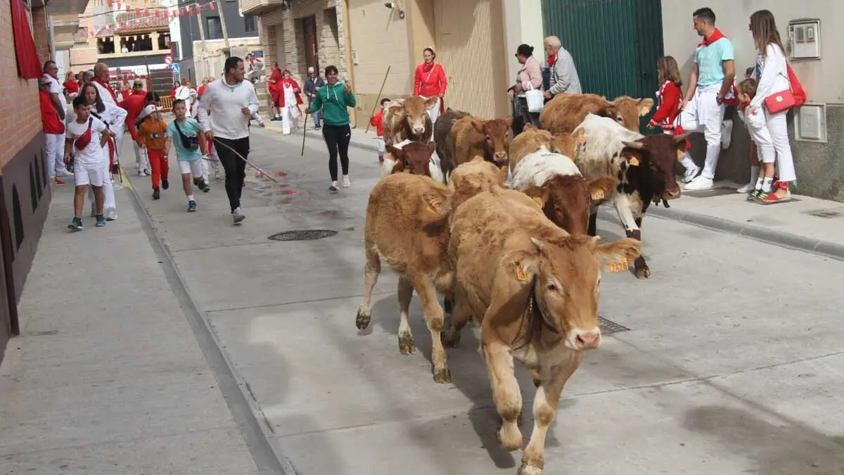 Fotos Fiestas de Cortes 3-10-25 (25)