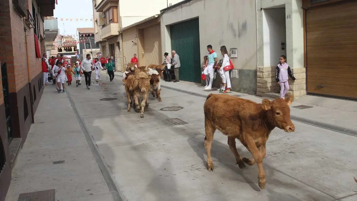 Fotos Fiestas de Cortes 3-10-25 (26)