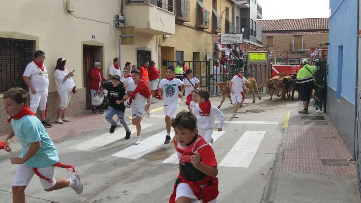 Fotos Fiestas de Cortes 3-10-25 (31)