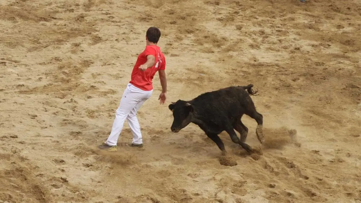Fotos Fiestas de Cortes 3-10-25 (32)