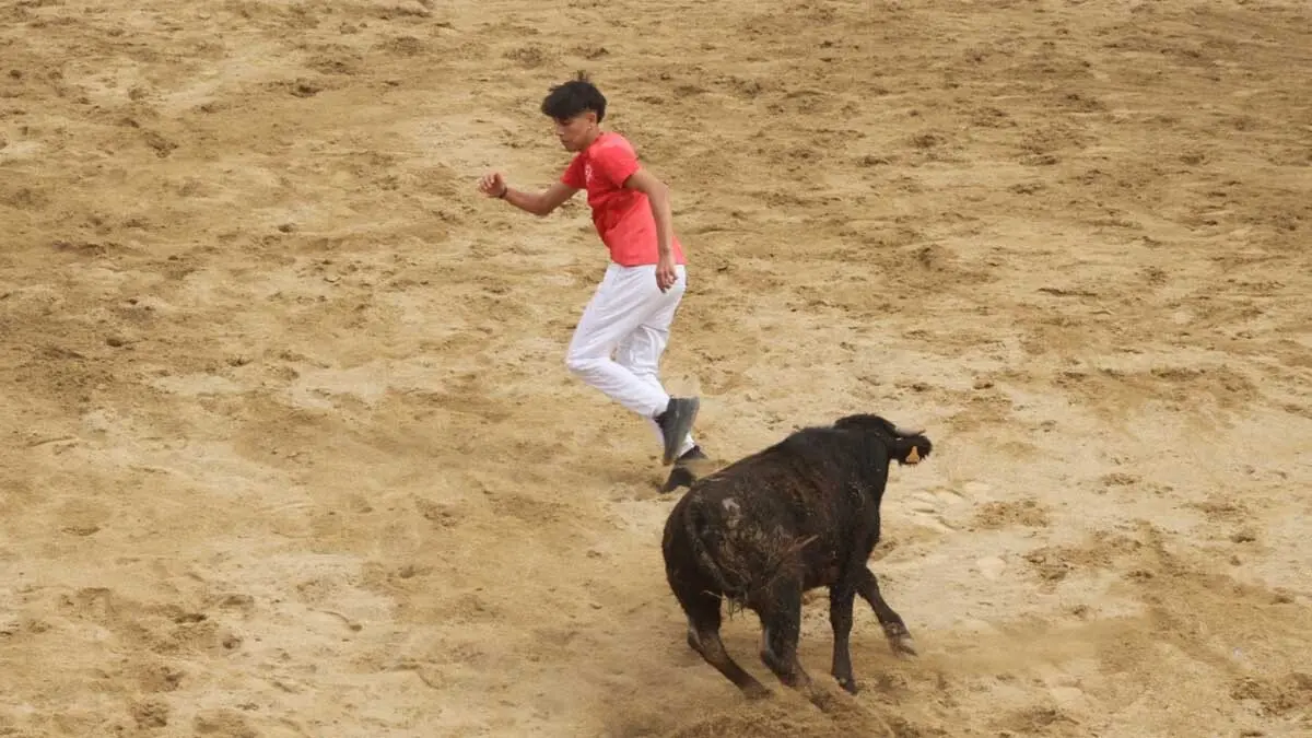 Fotos Fiestas de Cortes 3-10-25 (33)