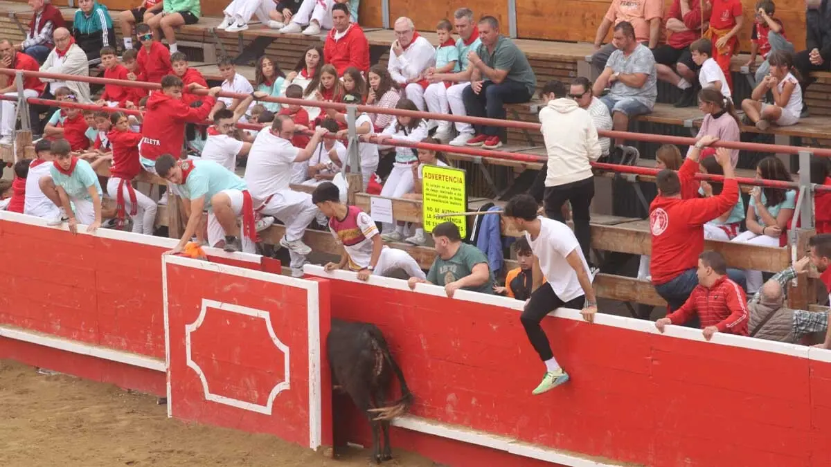 Fotos Fiestas de Cortes 3-10-25 (35)