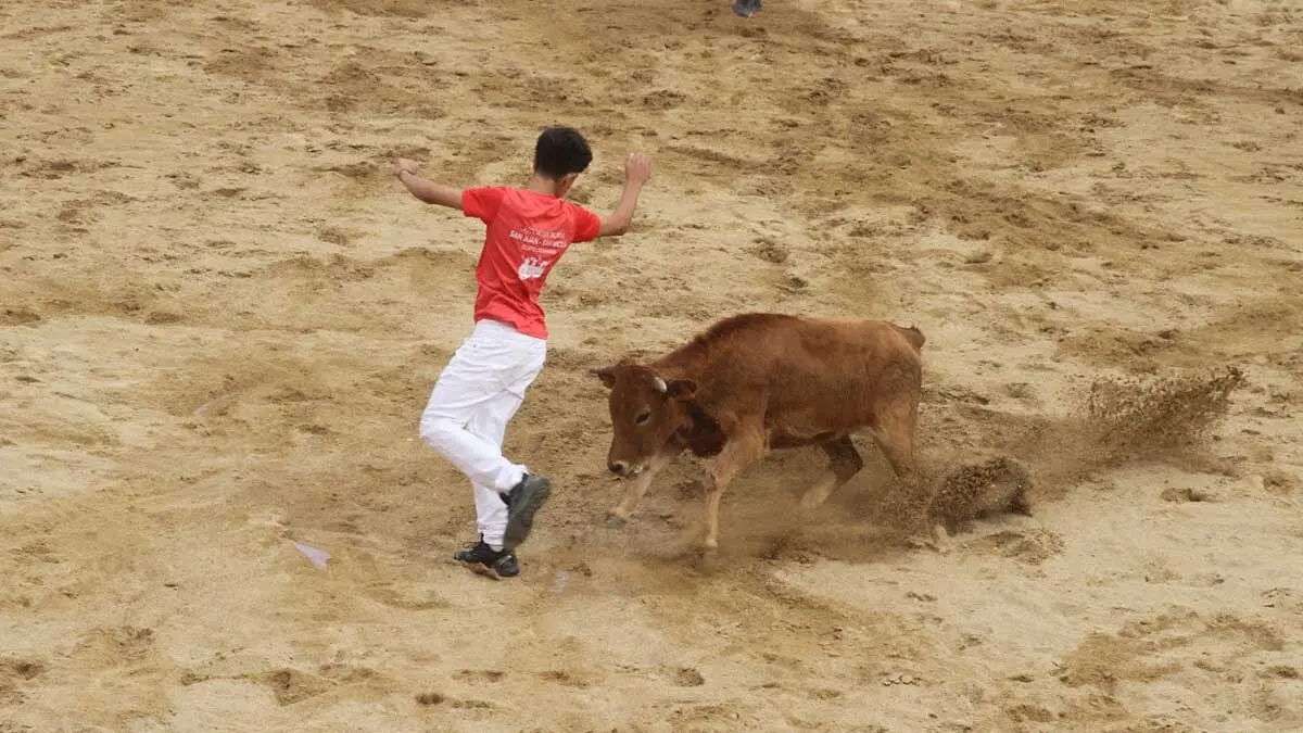 Fotos Fiestas de Cortes 3-10-25 (36)