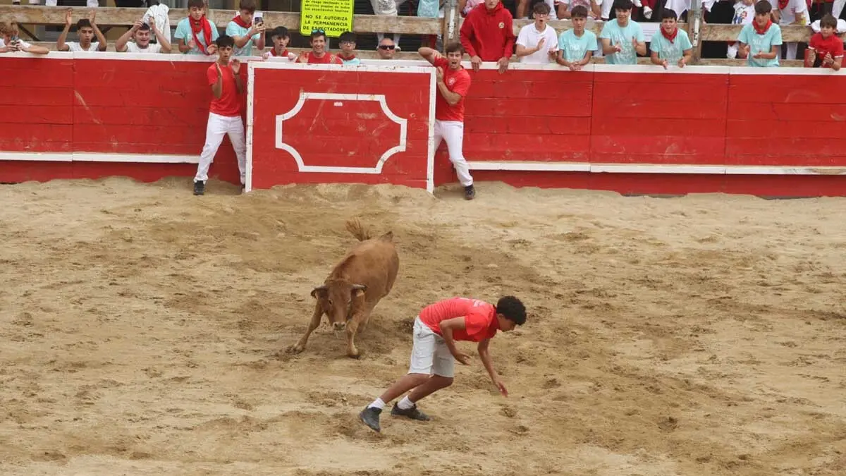 Fotos Fiestas de Cortes 3-10-25 (37)