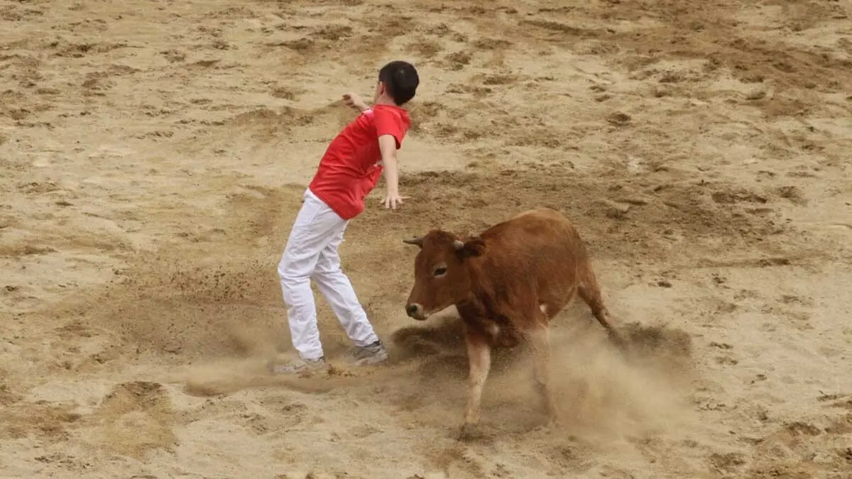 Fotos Fiestas de Cortes 3-10-25 (38)