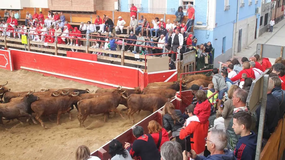 Fotos Fiestas de Cortes 2025. Sábado 4 y Domingo 5 de octubre (2)