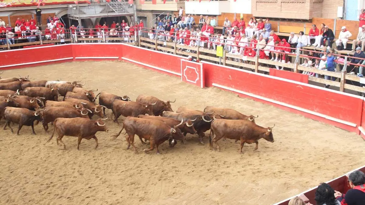 Fotos Fiestas de Cortes 2025. Sábado 4 y Domingo 5 de octubre (5)