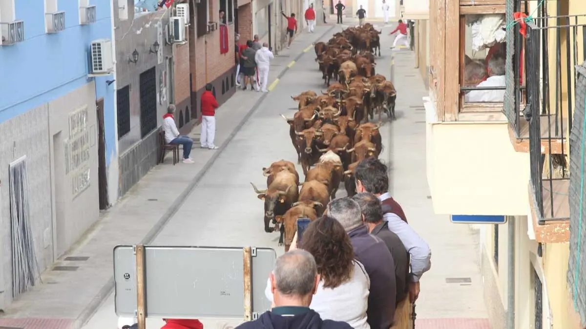 Fotos Fiestas de Cortes 2025. Sábado 4 y Domingo 5 de octubre (8)