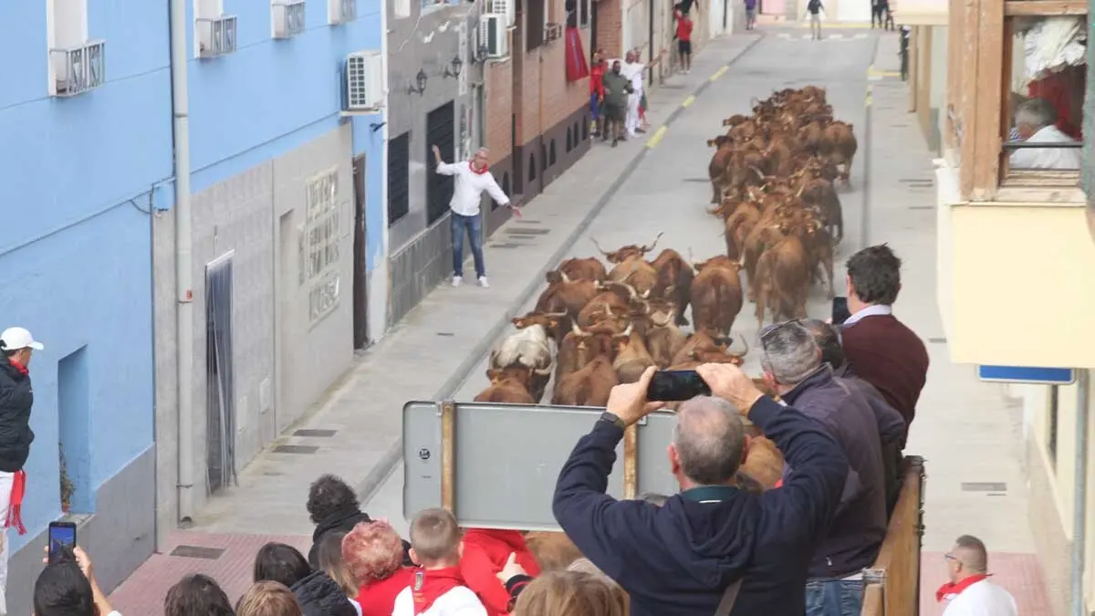 Fotos Fiestas de Cortes 2025. Sábado 4 y Domingo 5 de octubre (10)