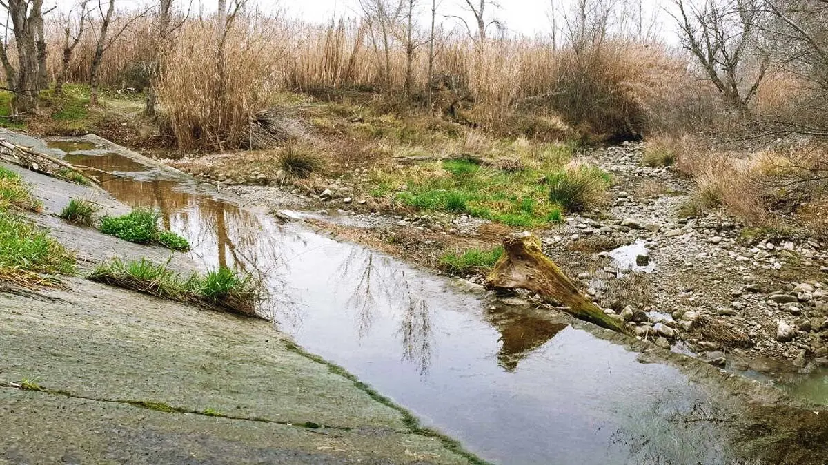 Río Alhama. Foto www.ecologistasenaccion.org