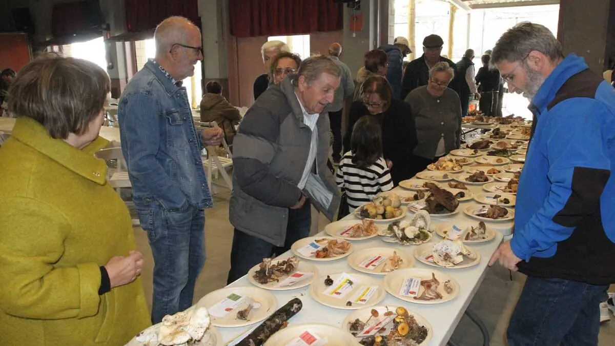 Jornadas Micrológicas 2025 Cabanillas (4)