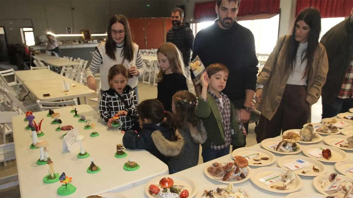 Jornadas Micrológicas 2025 Cabanillas (11)