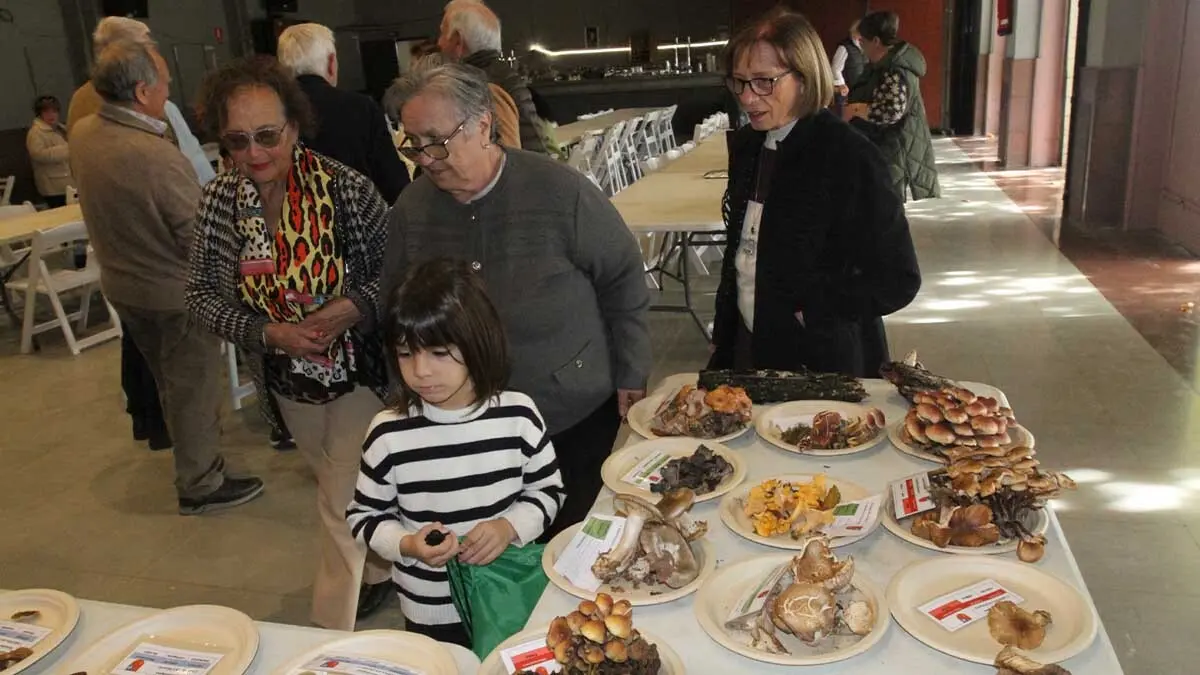 Jornadas Micrológicas 2025 Cabanillas (16)