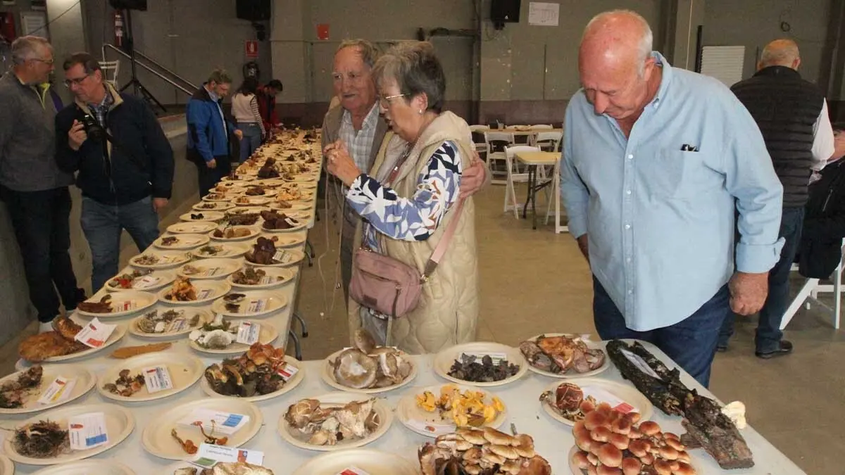 Jornadas Micrológicas 2025 Cabanillas (17)