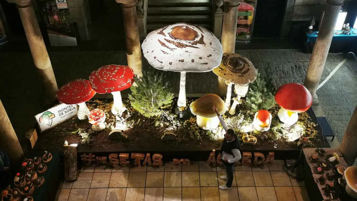 Jornadas Micológicas de Ágrda 2025