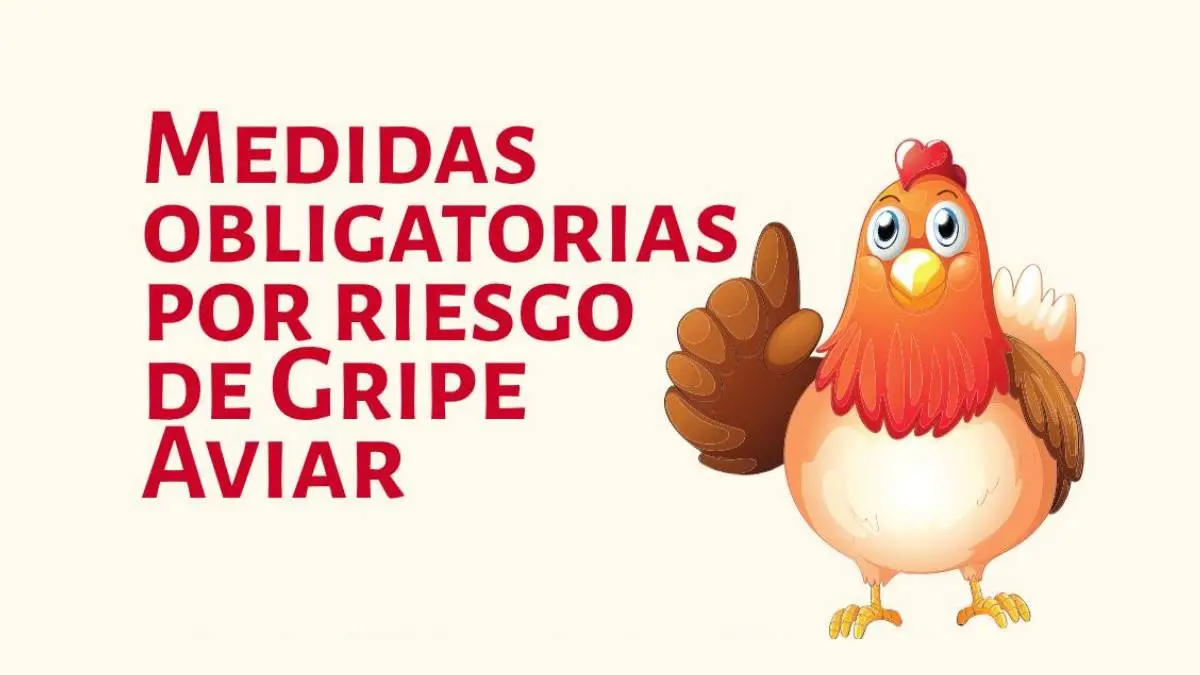 Prevención por riesgo de gripe aviar