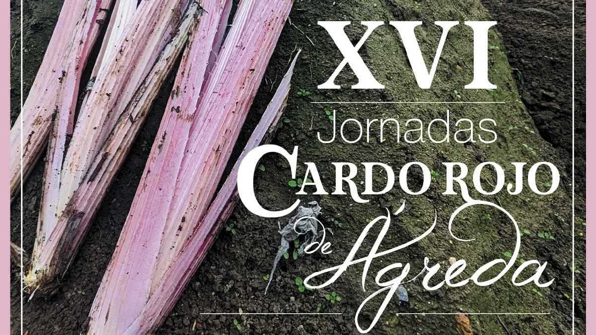 Ágreda celebra la XVI edición del Cardo Rojo 2025