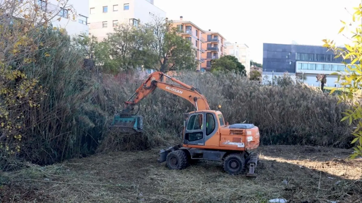 Labores de desbroce y limpieza de los márgenes del río Queiles en Tudela