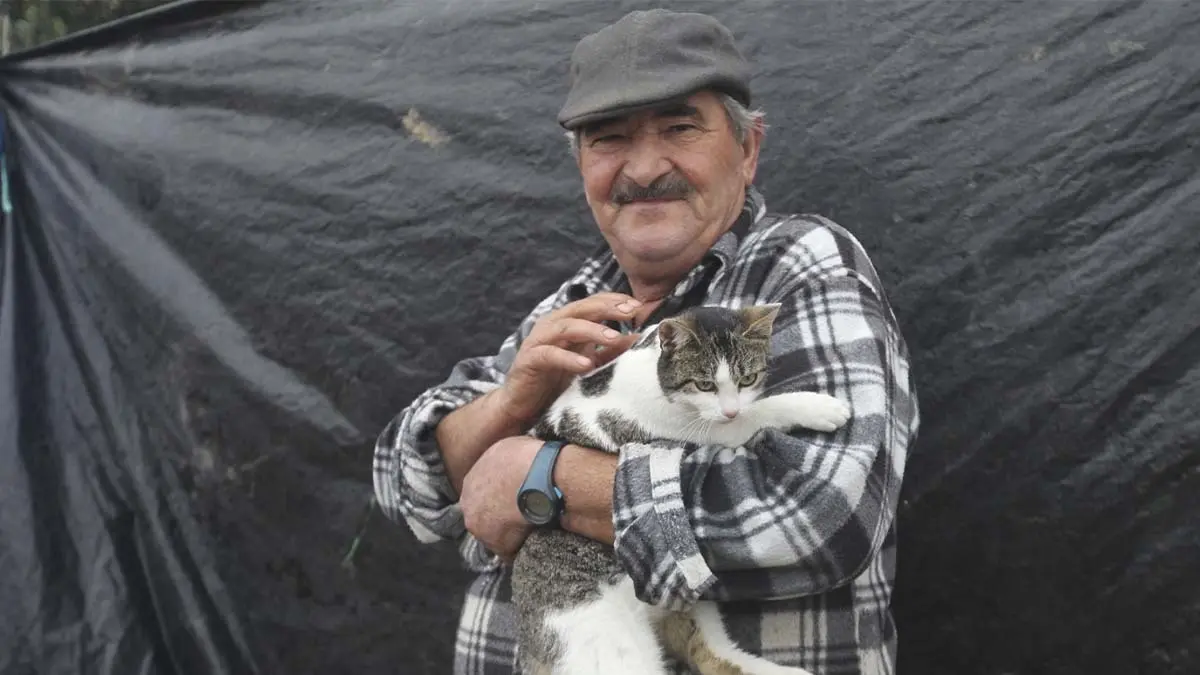 San Ant&oacute;n 2026 en Bu&ntilde;uel (8)