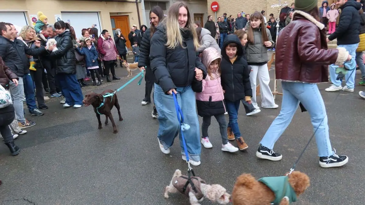 San Ant&oacute;n en Murchante 2026 (1)