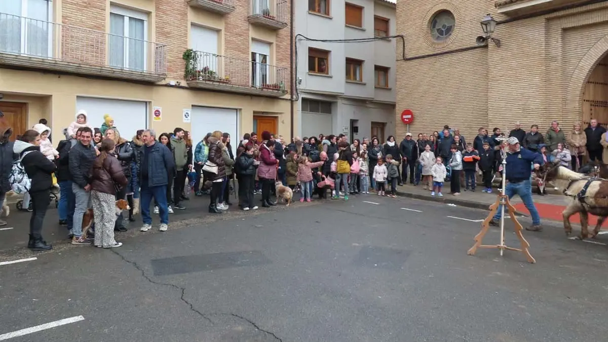 San Ant&oacute;n en Murchante 2026 (4)