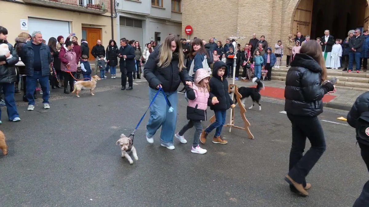 San Ant&oacute;n en Murchante 2026 (8)