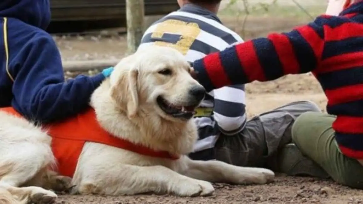 Terapia asistida con animales en colegios de Tudela. Foto Ayto. Tudela