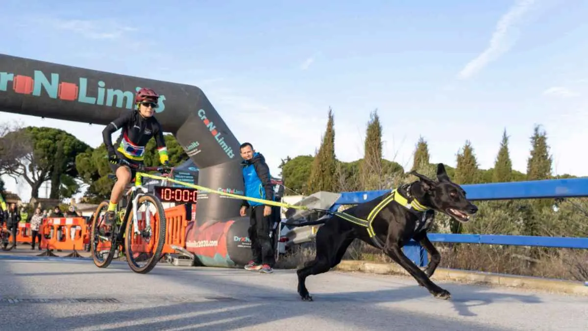 Primera CaniCross de Corella 2026