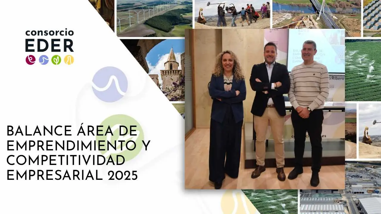 Consorcio Eder, Balance Anual 2025