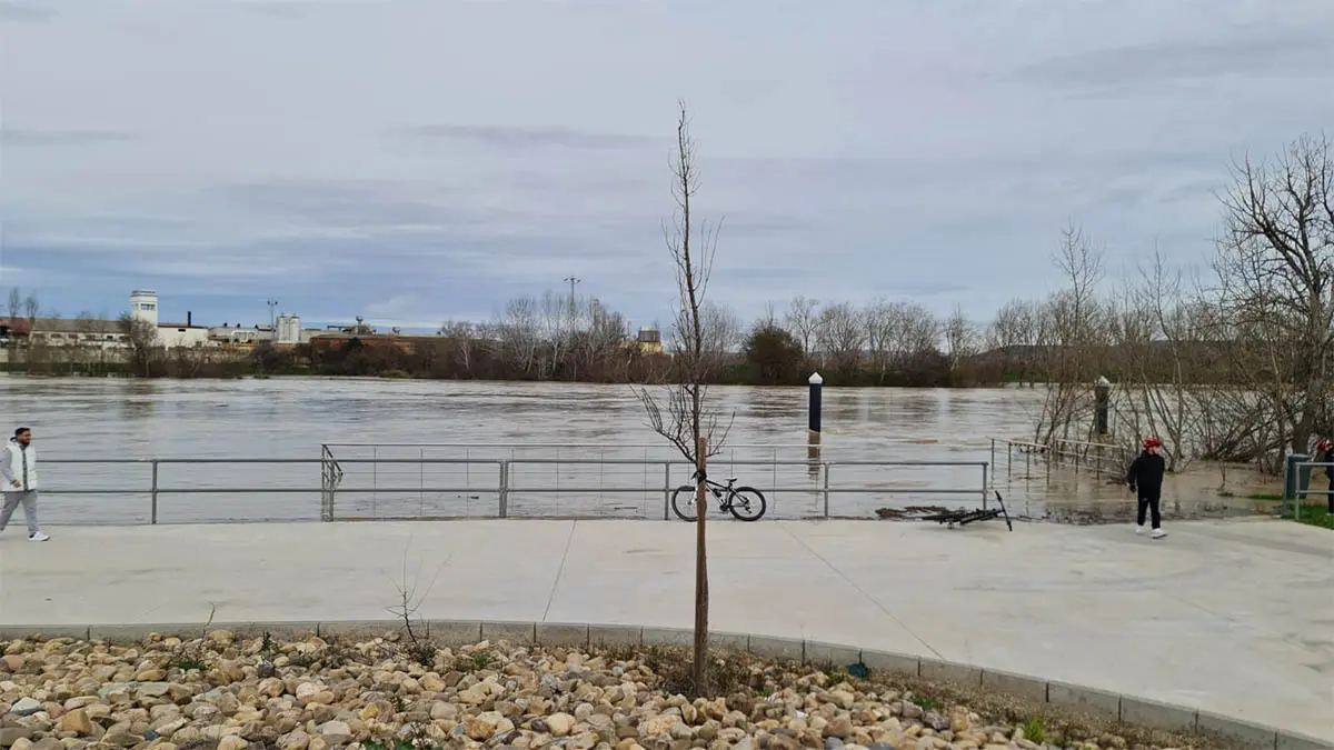 Tudela. Crecida R&iacute;o Ebro 15-2-26 a las 15 h (3)