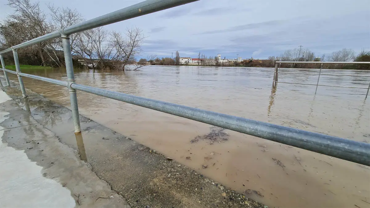 Tudela. Crecida R&iacute;o Ebro 15-2-26 a las 15 h (4)