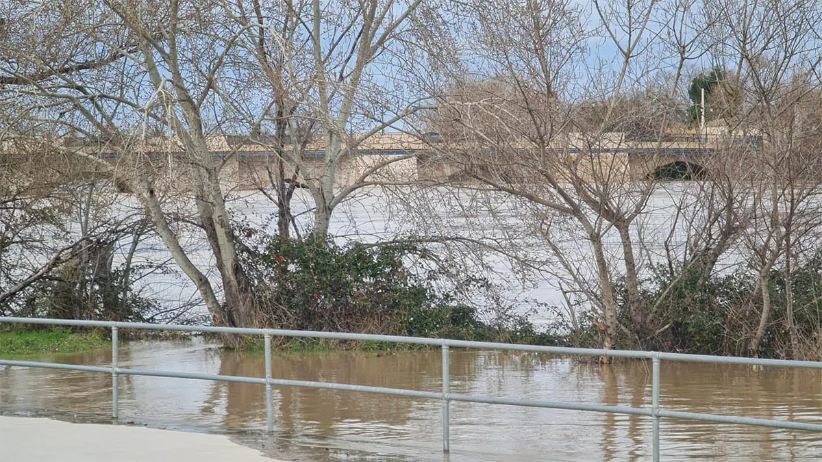 Tudela. Crecida R&iacute;o Ebro 15-2-26 a las 15 h (5)