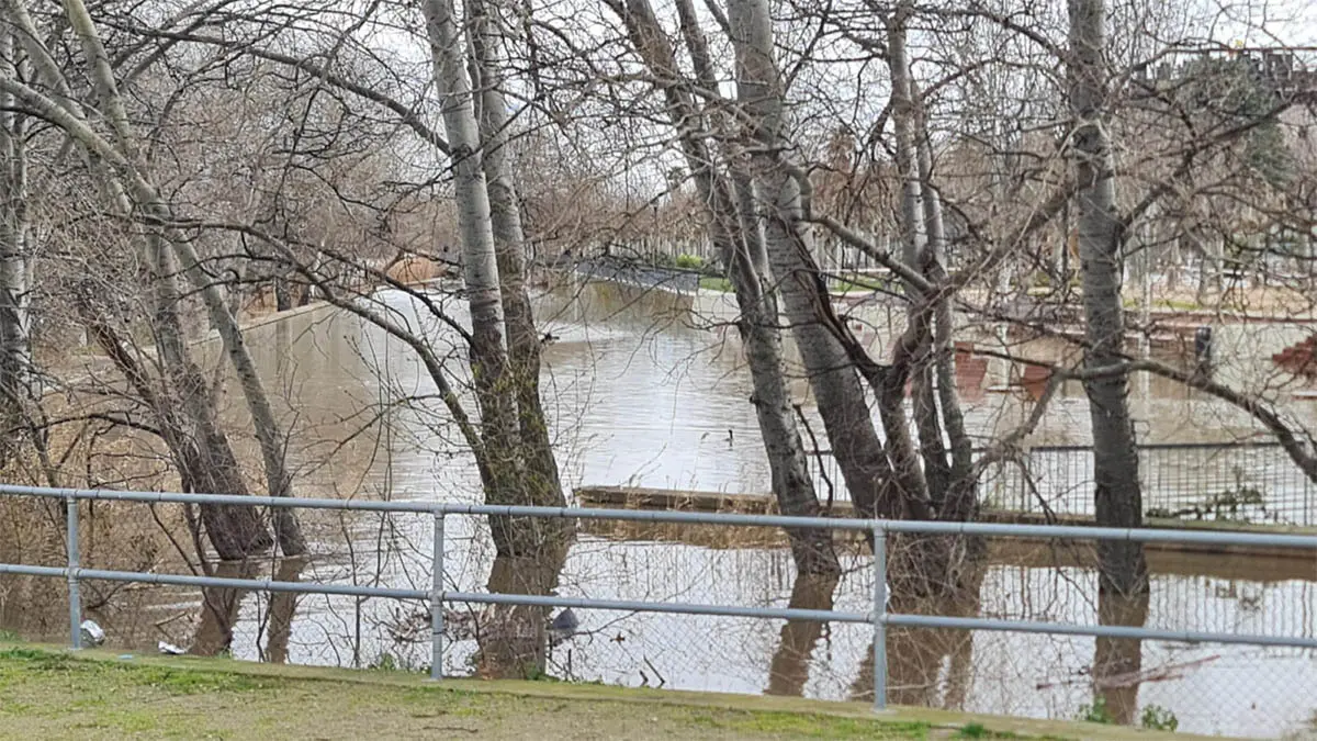 Tudela. Crecida R&iacute;o Ebro 15-2-26 a las 15 h (6)