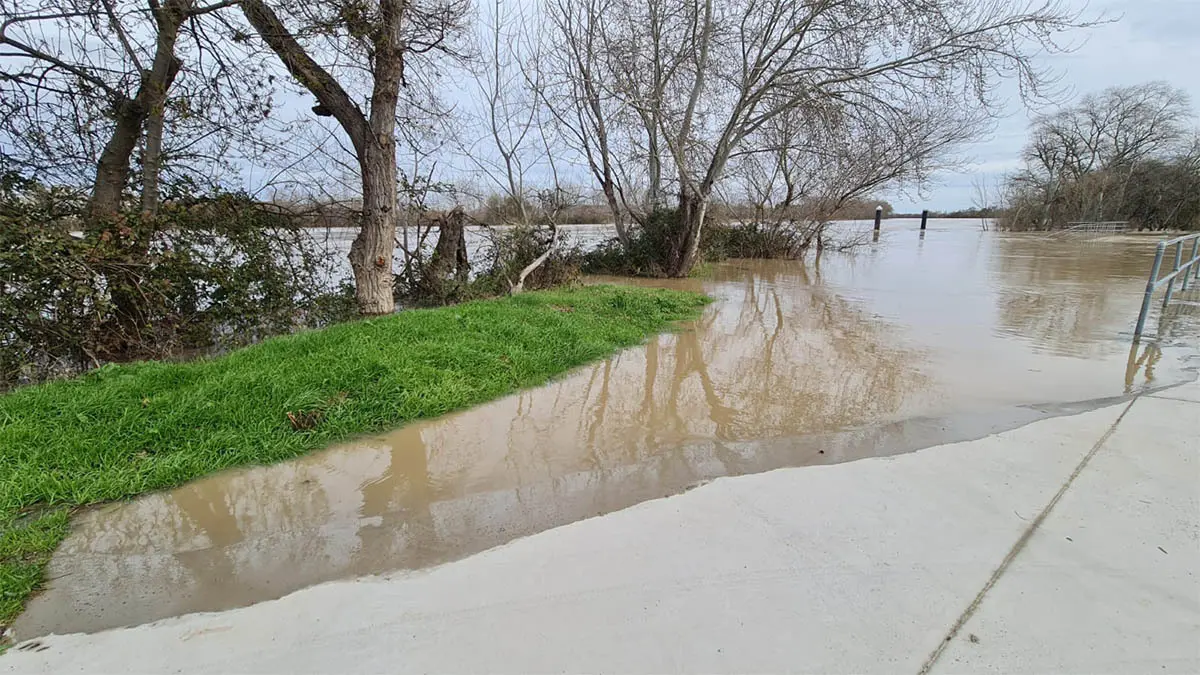 Tudela. Crecida R&iacute;o Ebro 15-2-26 a las 15 h (10)