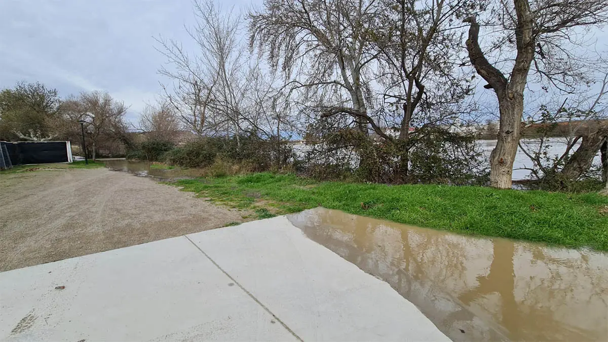 Tudela. Crecida R&iacute;o Ebro 15-2-26 a las 15 h (9)