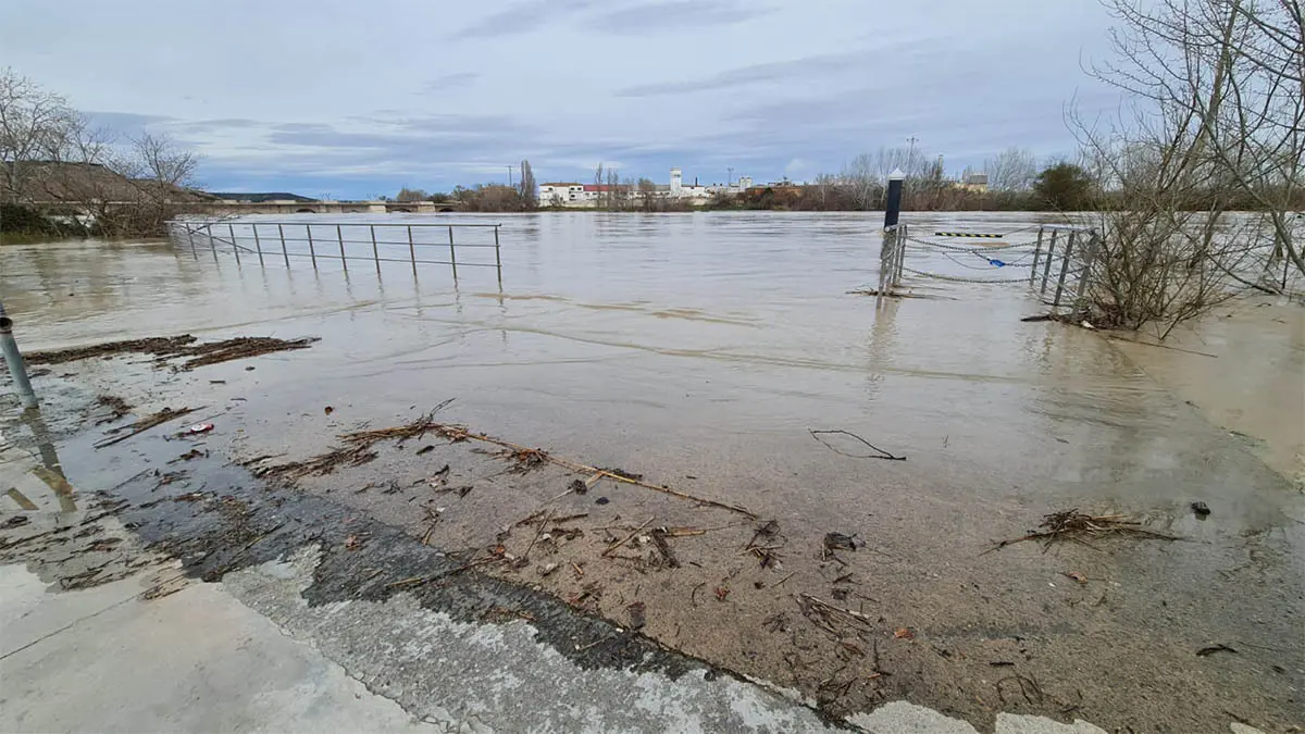 Tudela. Crecida R&iacute;o Ebro 15-2-26 a las 15 h (11)