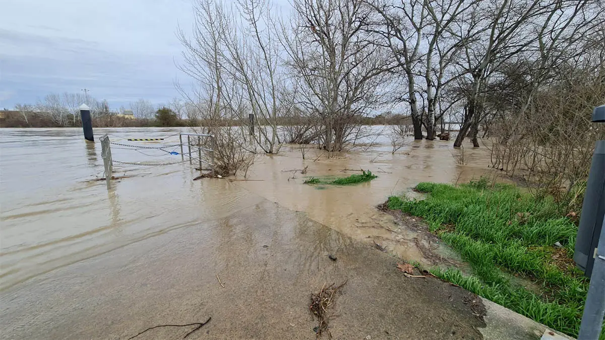Tudela. Crecida R&iacute;o Ebro 15-2-26 a las 15 h (16)