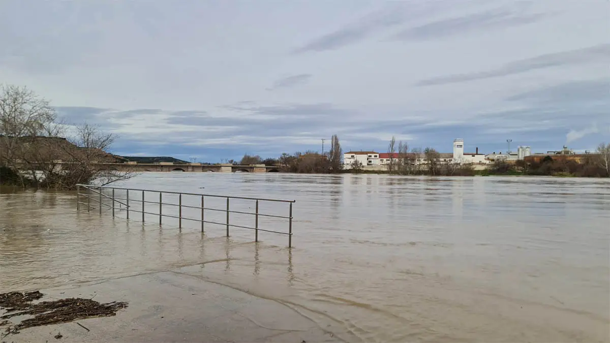 Tudela. Crecida R&iacute;o Ebro 15-2-26 a las 15 h (15)