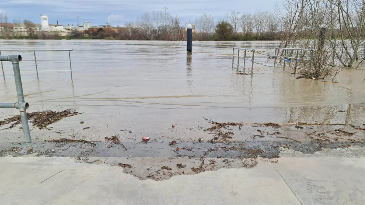 Tudela. Crecida R&iacute;o Ebro 15-2-26 a las 15 h (18)