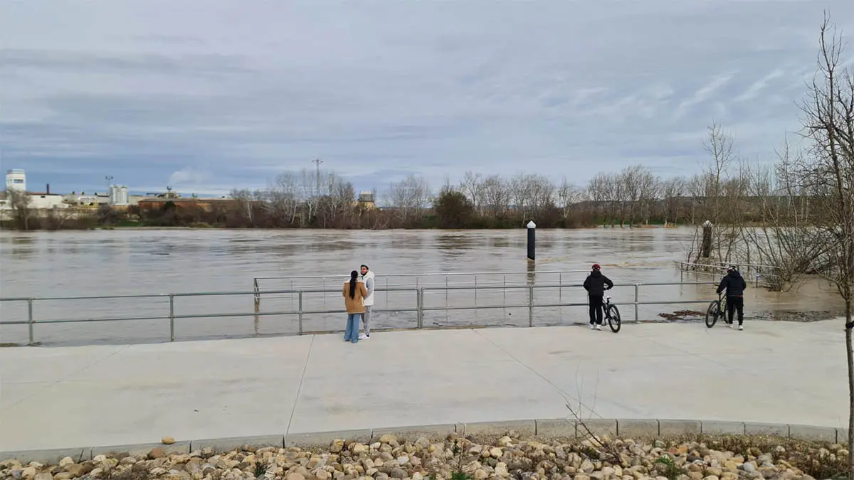 Tudela. Crecida R&iacute;o Ebro 15-2-26 a las 15 h (19)