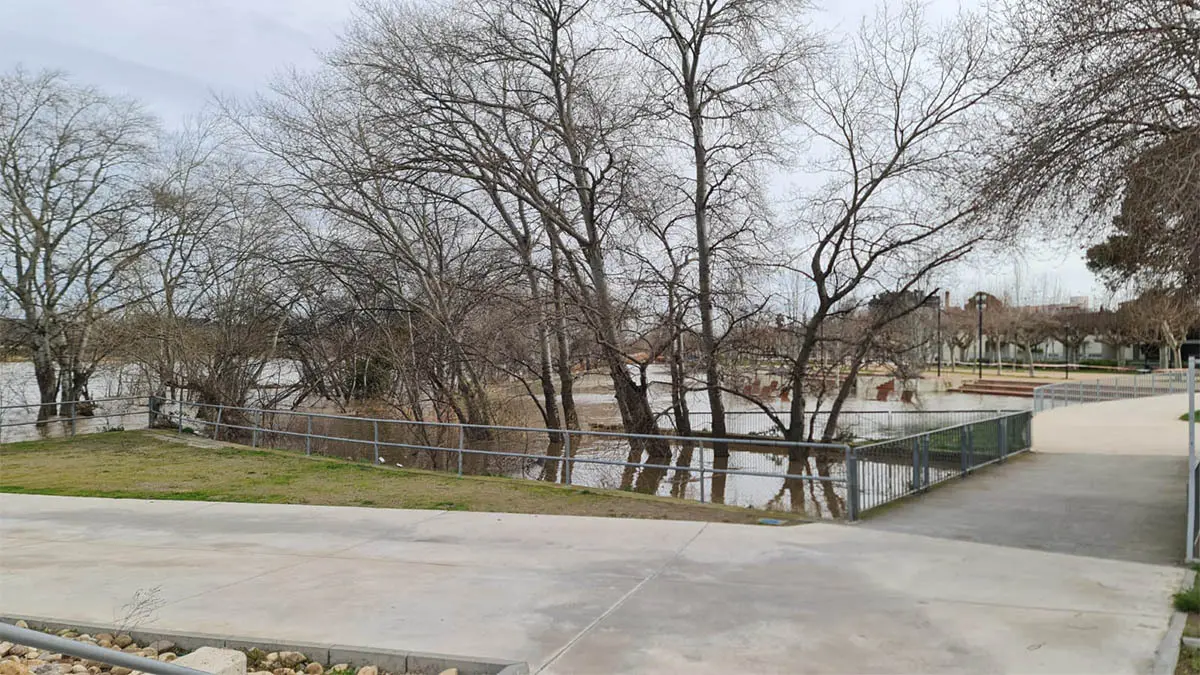 Tudela. Crecida R&iacute;o Ebro 15-2-26 a las 15 h (21)